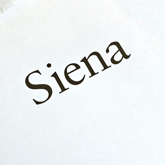 Siena Hand Polished Silverplated Frame Photo Fenwick Island Delaware Aug 2009 - Picture 8 of 15